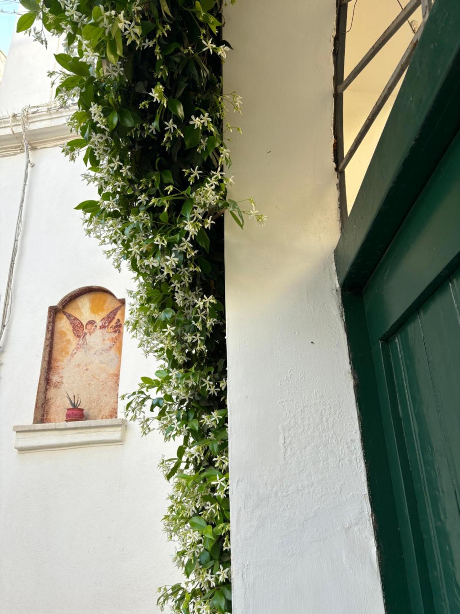 B&B Antica Dimora Dell'Angelo Nardò Kültér fotó